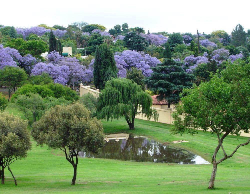 Gasthuis Bohemian - Pretoria-Noord